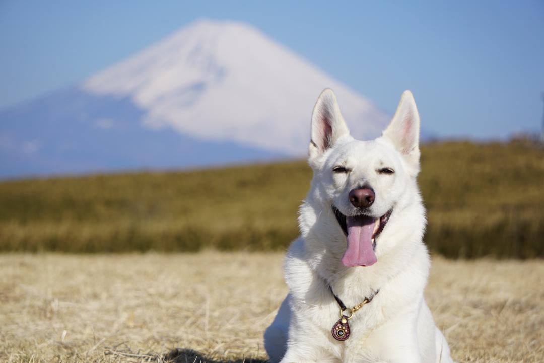 富士山とニッコリ笑顔