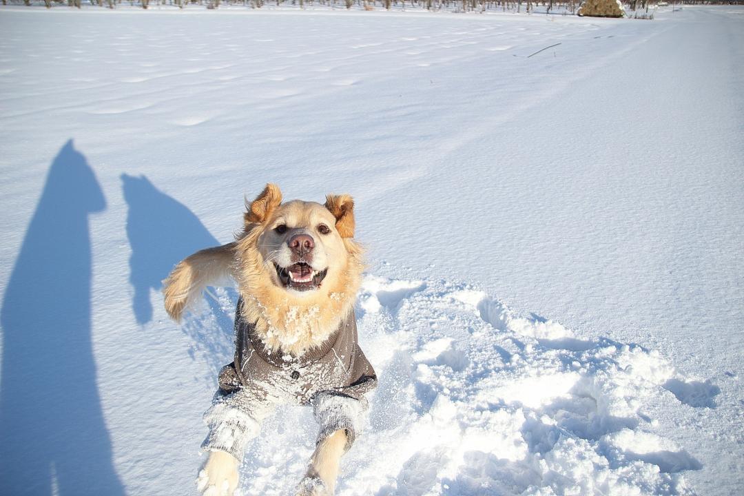 雪遊びー！