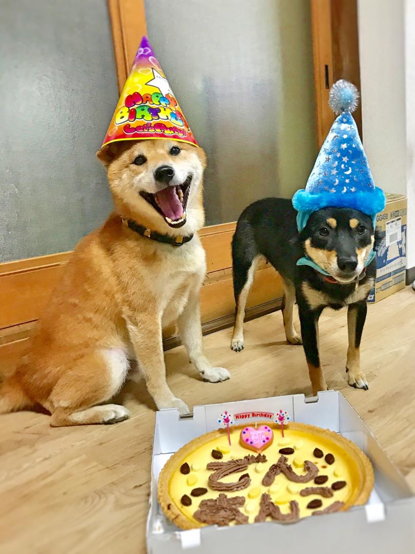 お誕生日会