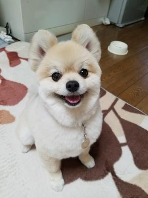 笑顔