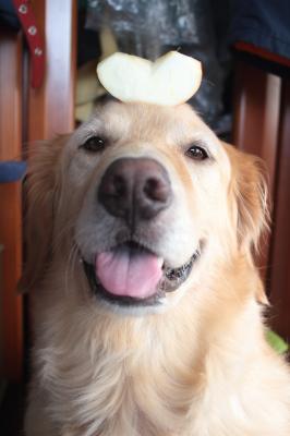 りんご大好きだよー