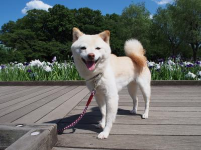 梅雨の晴れ間に♪