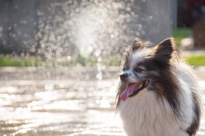 気持ちいい~~！