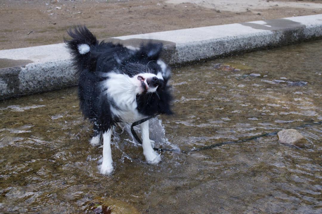 水遊び気持ちー！！