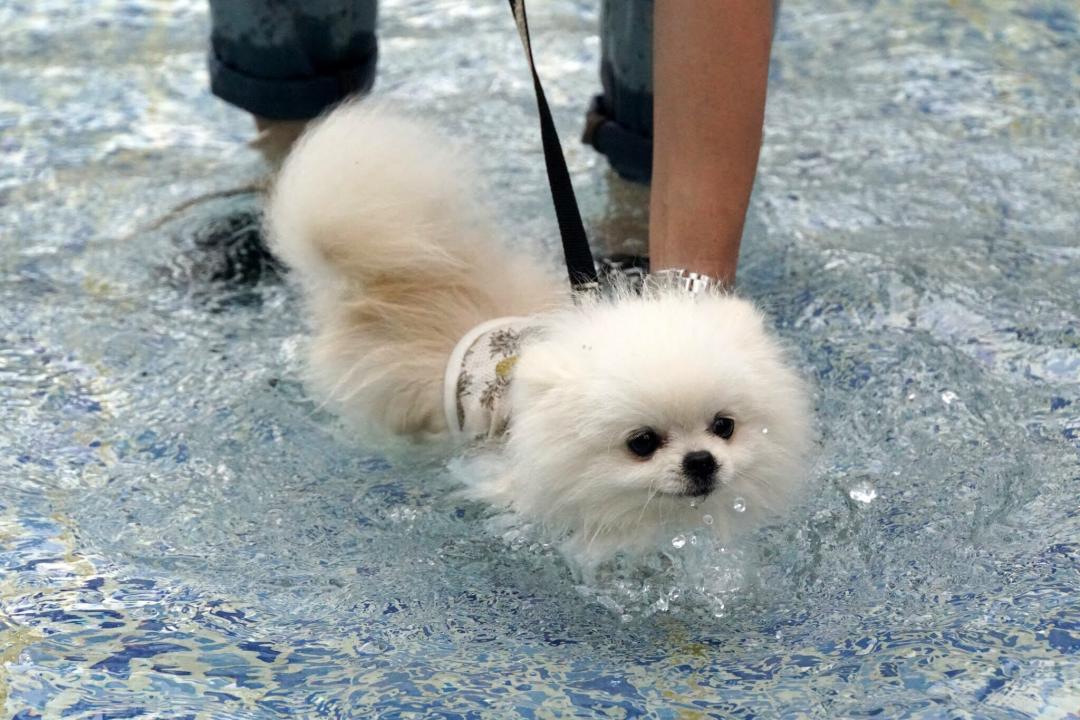 初水遊び♪