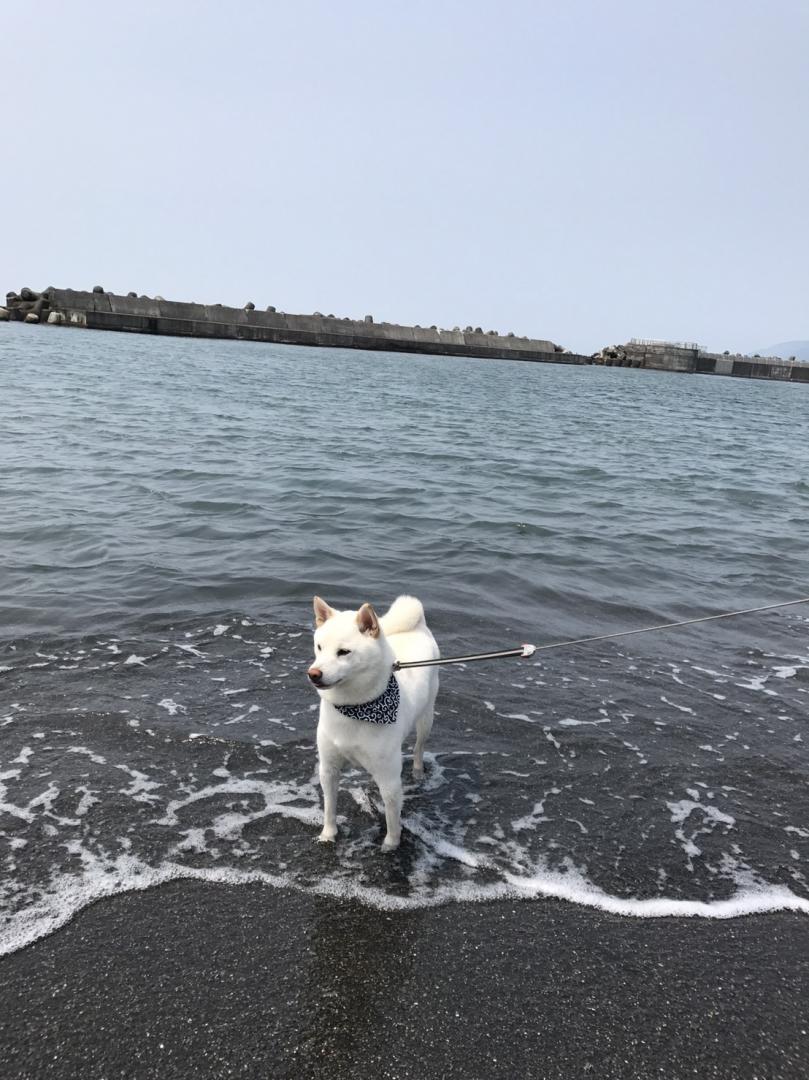 初めての海水浴