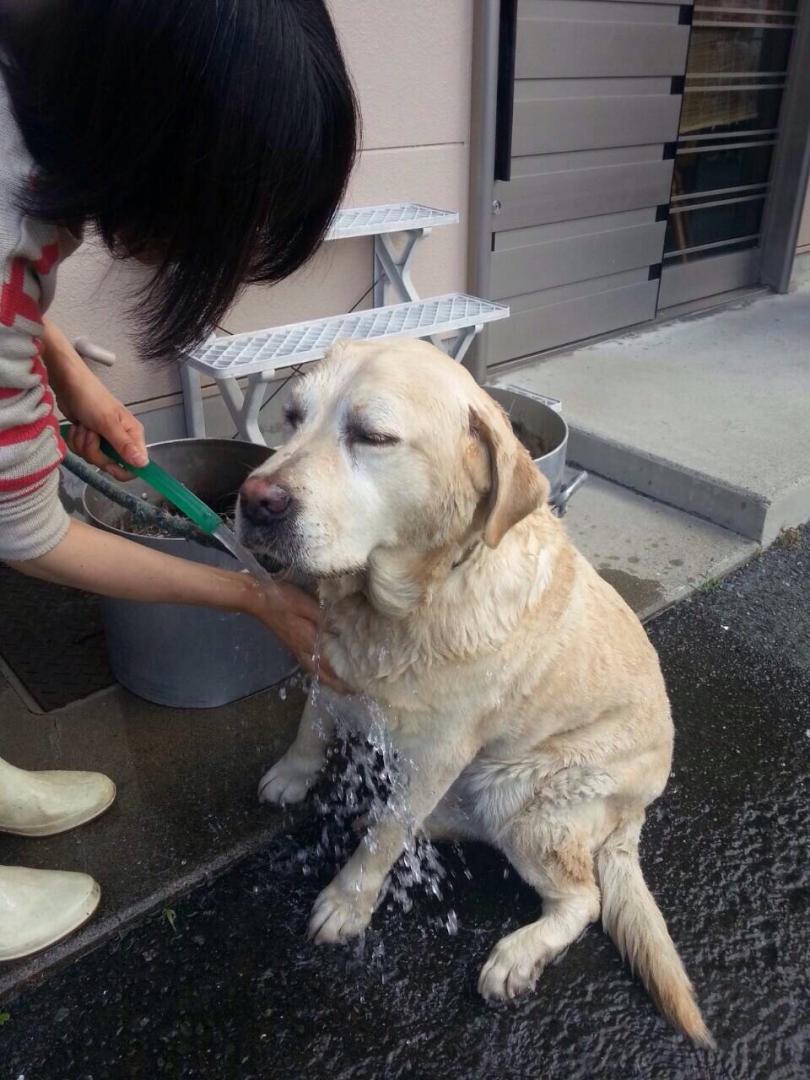 ぬるま湯サイコー！