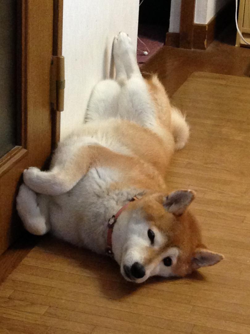 んっ？！