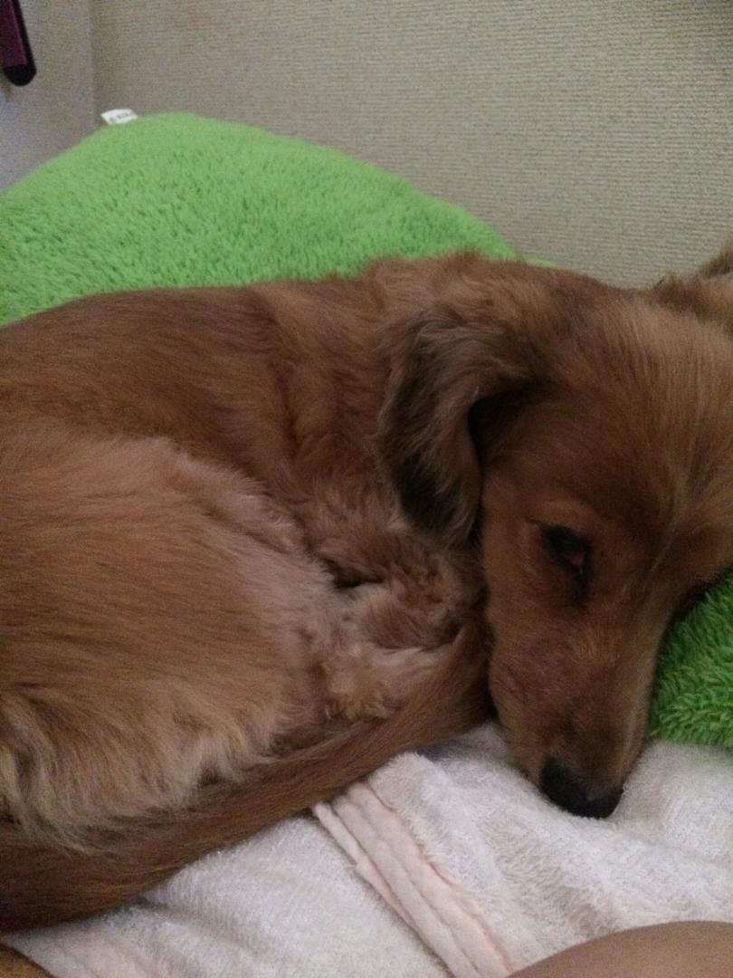 眠い💤
