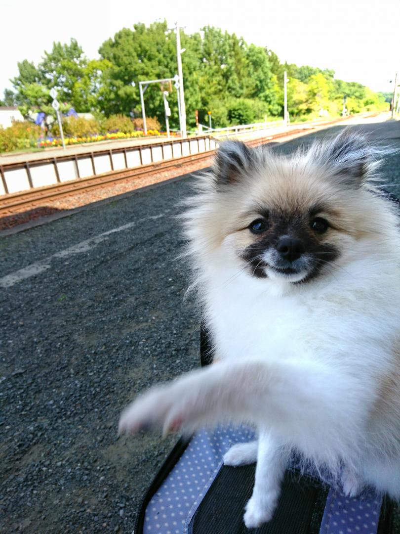 行こうぜ♪