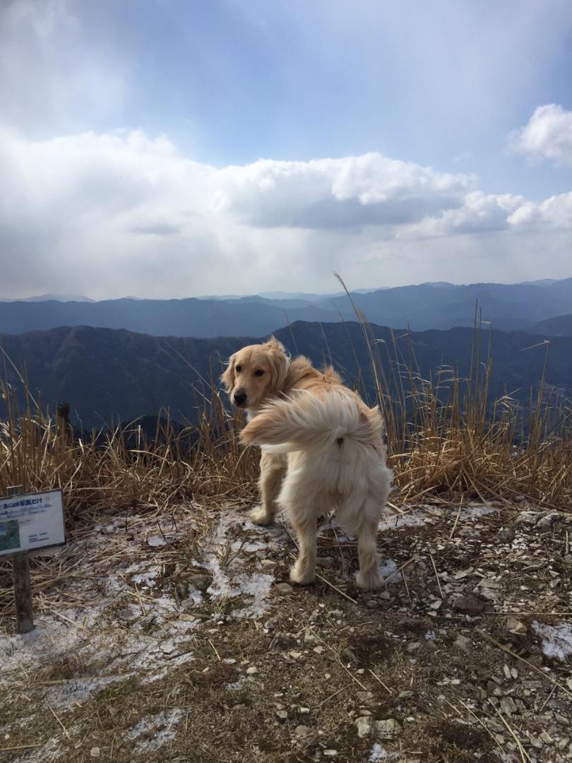 山頂は強風なんですっ！