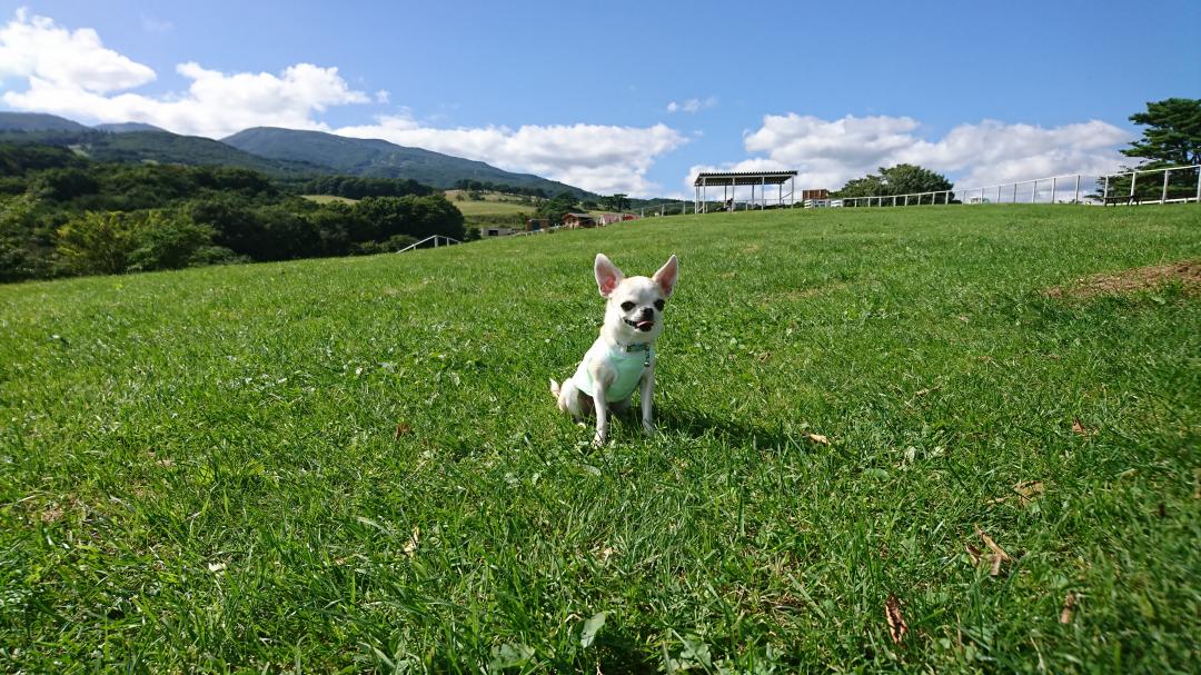 那須旅行  那須どうぶつ王国