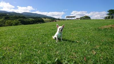 那須旅行  那須どうぶつ王国