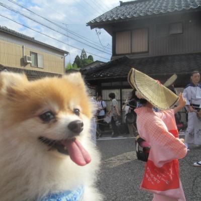 おわら風の盆　2017　富山市八尾町