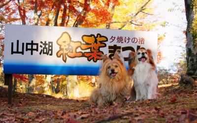 秋の山中湖畔