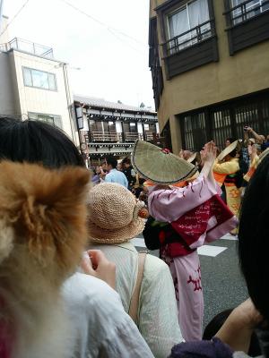 越中おわら　風の盆　富山県