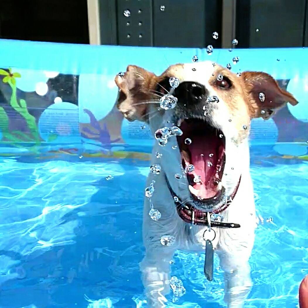 キラキラの水の玉！ちょうだい