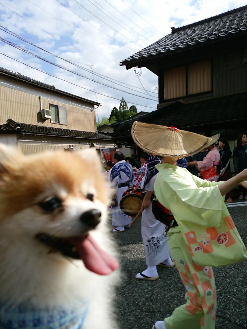 2017　越中八尾おわら風の盆