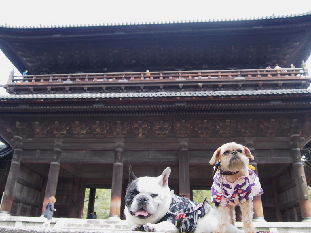 秋の南禅寺