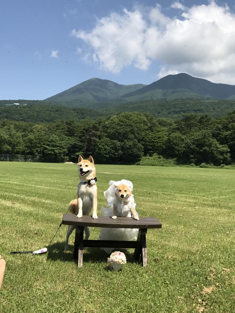 那須高原の誓い