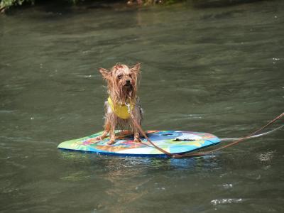 夏の思い出(^-^)