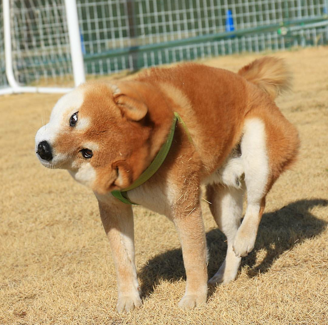 変顔の極み