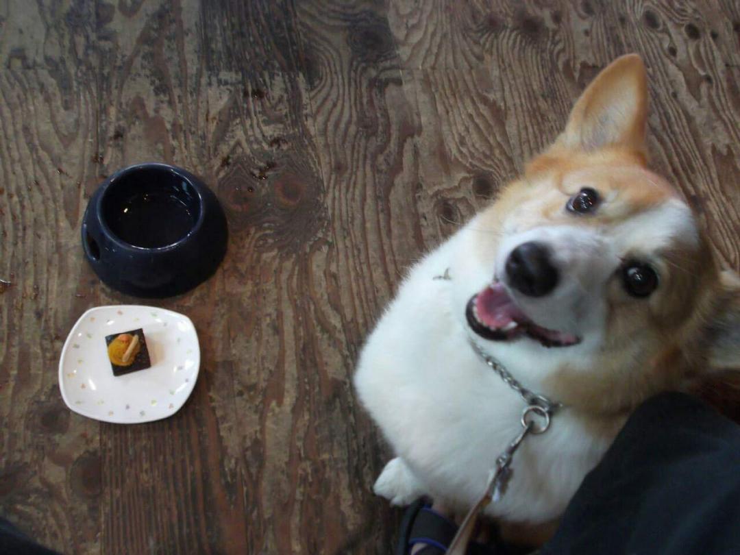 ケーキ食べていい？