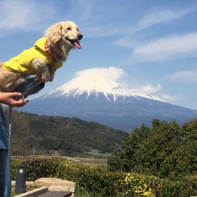 富士山じゃなくて、僕を見て！