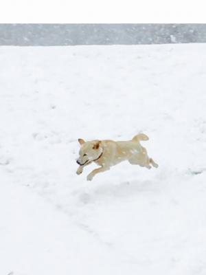 飛んでます