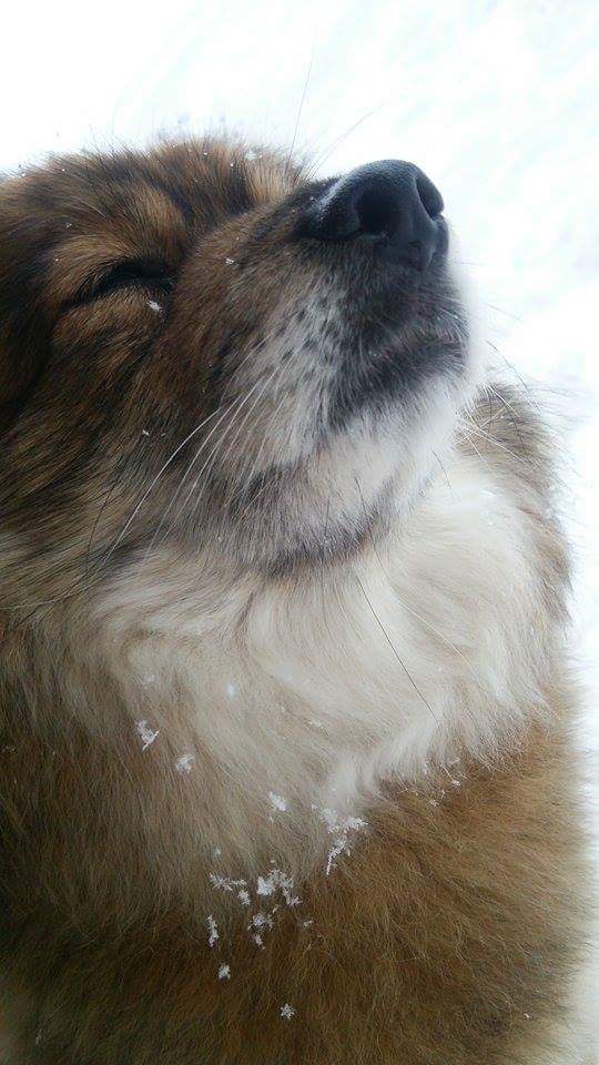 ・・・雪だぁ❄️