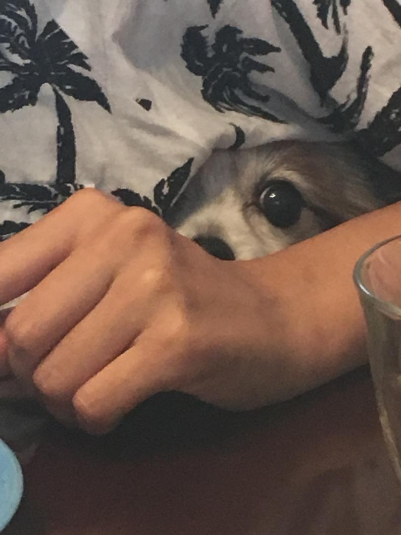 あ、、、。