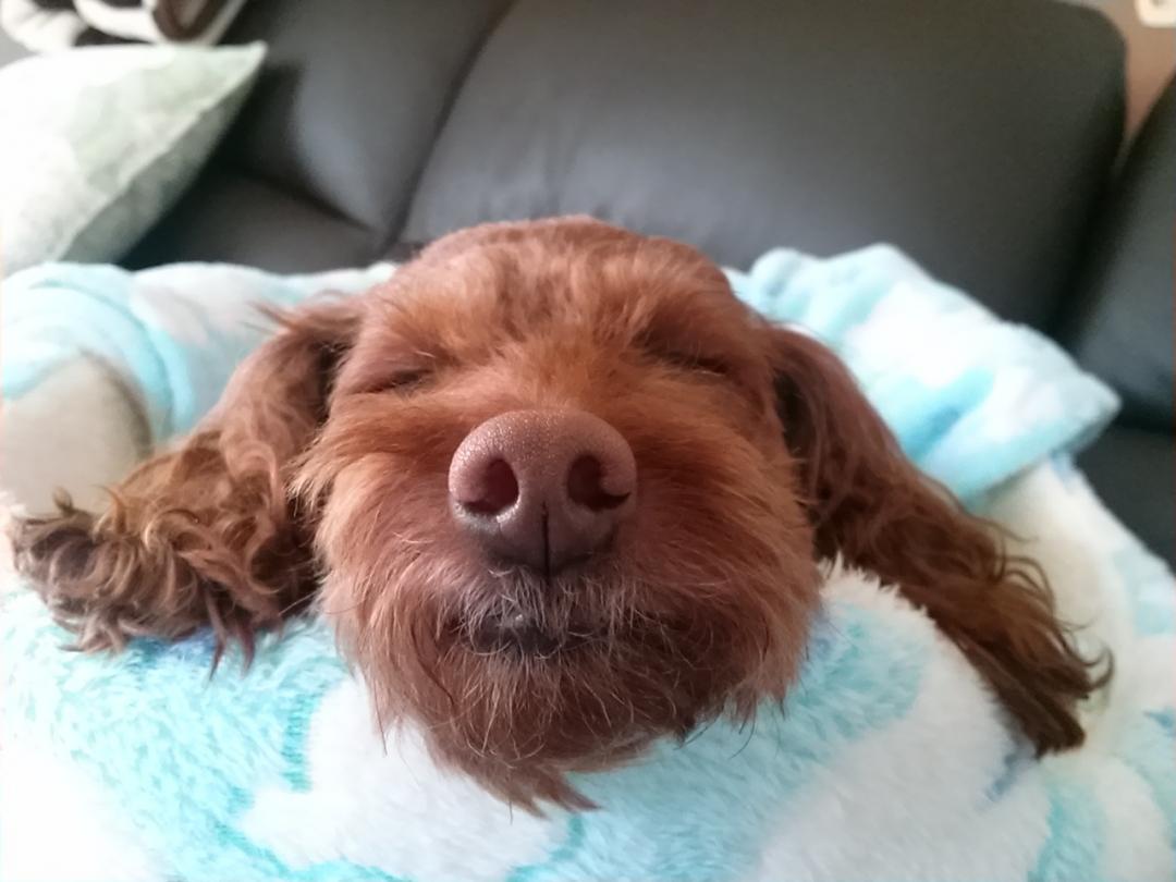 眠い秋