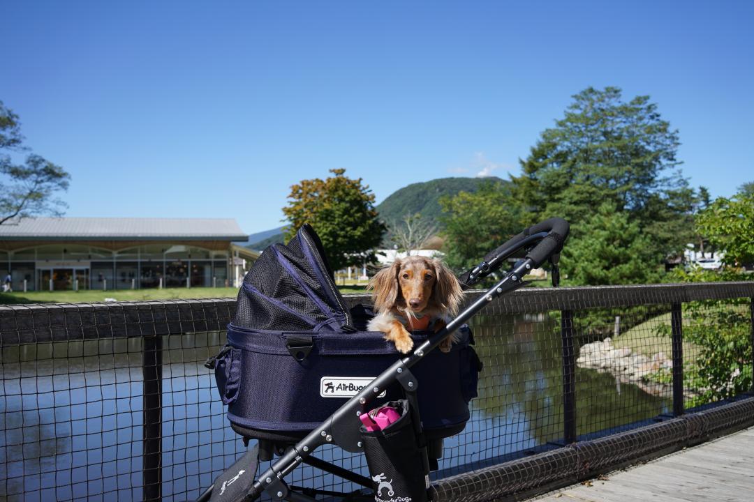 行楽の秋。 真っ青な空に気分上々！