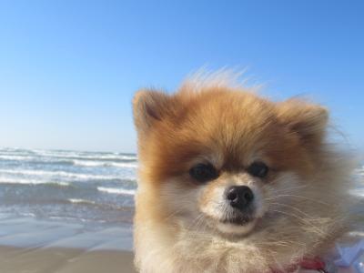 日本海の秋