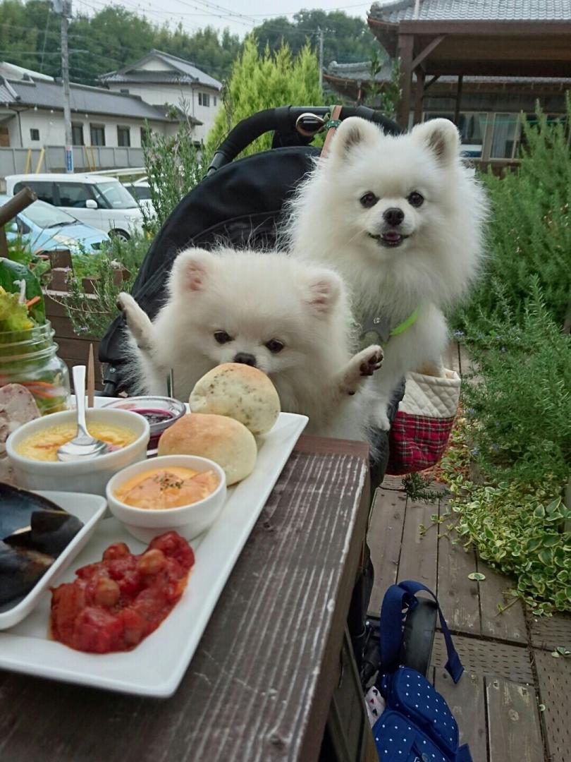 食欲の秋♪