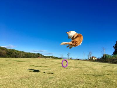 とびすぎーっ！