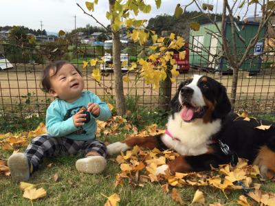 イチョウの木の下で