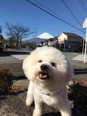 富士山と、にこにこ笑顔