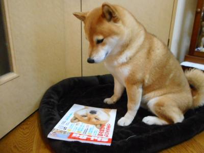 読書？の秋