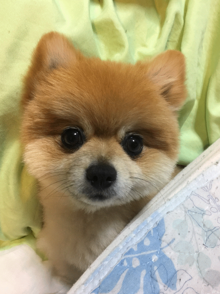 おはよう