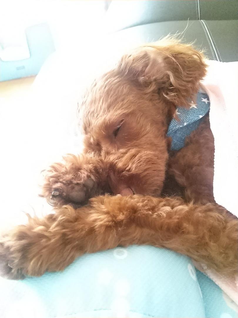 睡眠の秋