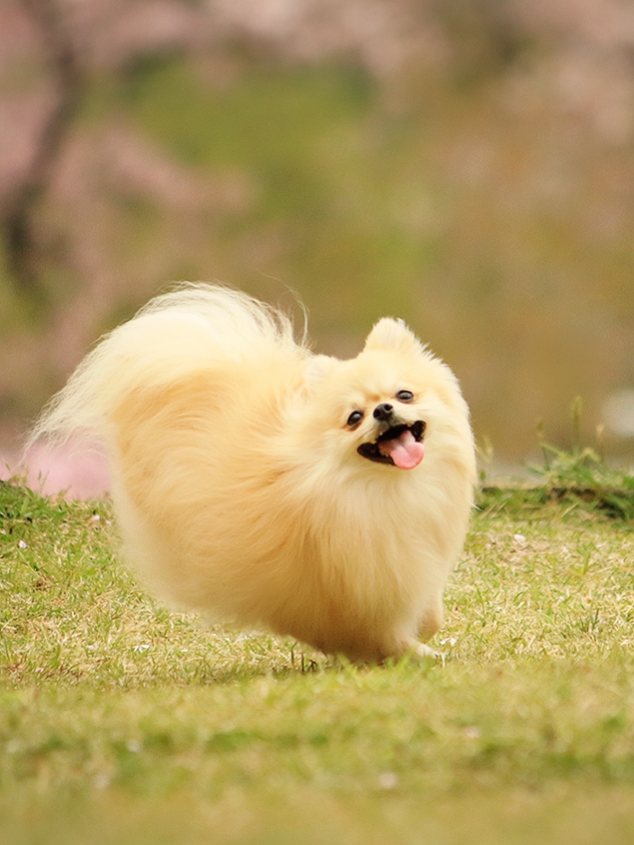 お出かけの秋