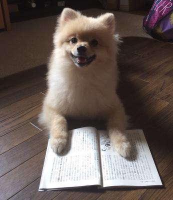 犬だって読書！