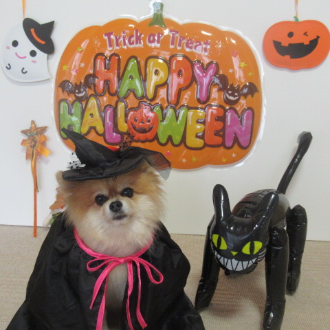 秋は、「Happy　Halloween」