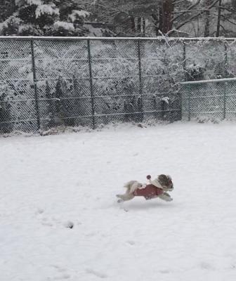 初めての雪遊び