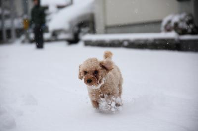 もっと遊ぼぉよぉ～