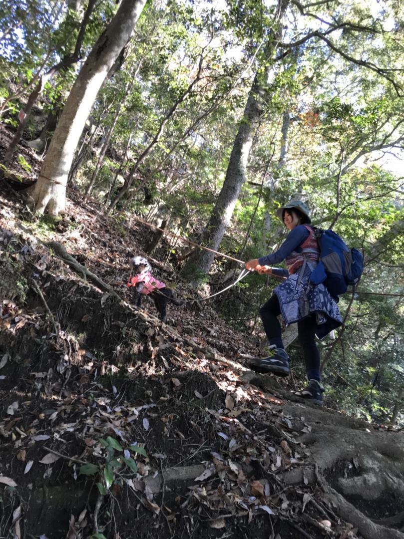 13歳の犬と私の登山