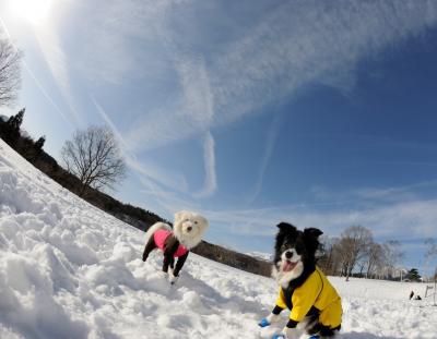 楽しい雪遊び