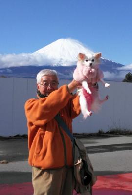 犬と富士山