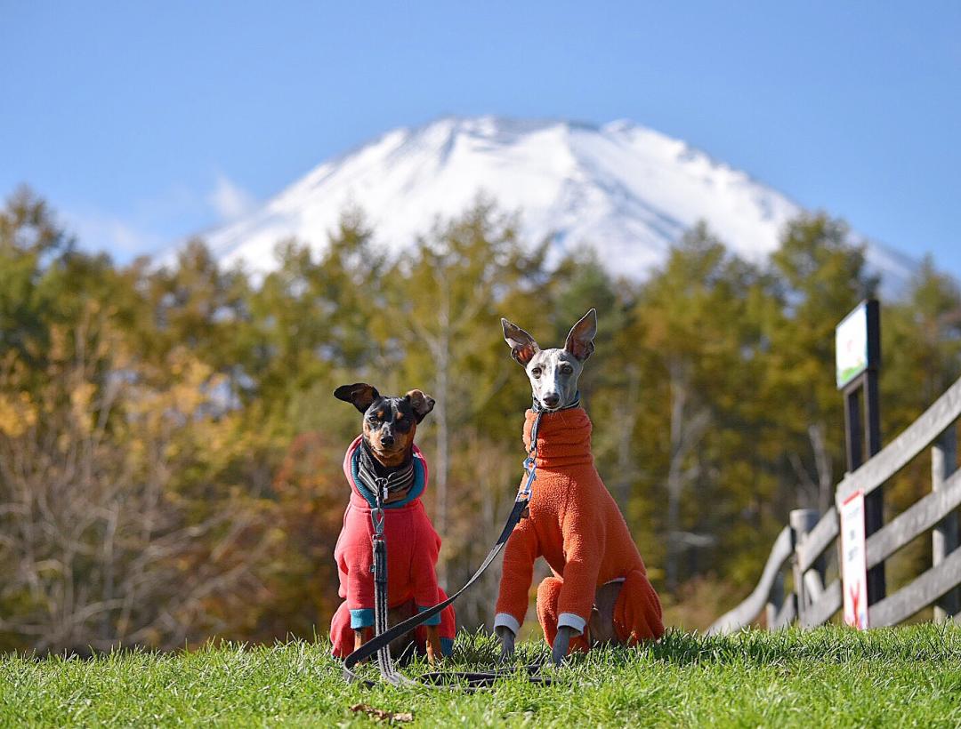 富士山！